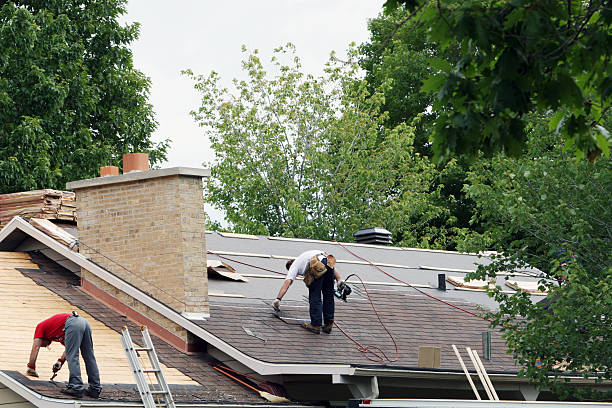 Best Metal Roofing Contractor  in Southern View, IL